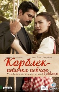 Королек - птичка певчая Все серии (2013) смотреть онлайн турецкий сериал на русском языке Королек - птичка певчая Все серии (2013) смотреть онлайн турецкий сериал на русском языке