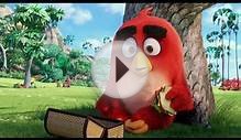 Angry Birds в кино (2016) | Трейлер [HQ]